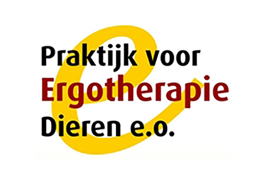 Ergotherapie | FysioKort Doesburg